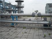 Banatski dvor slika20